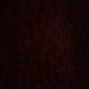 Meet your Posher, Luis